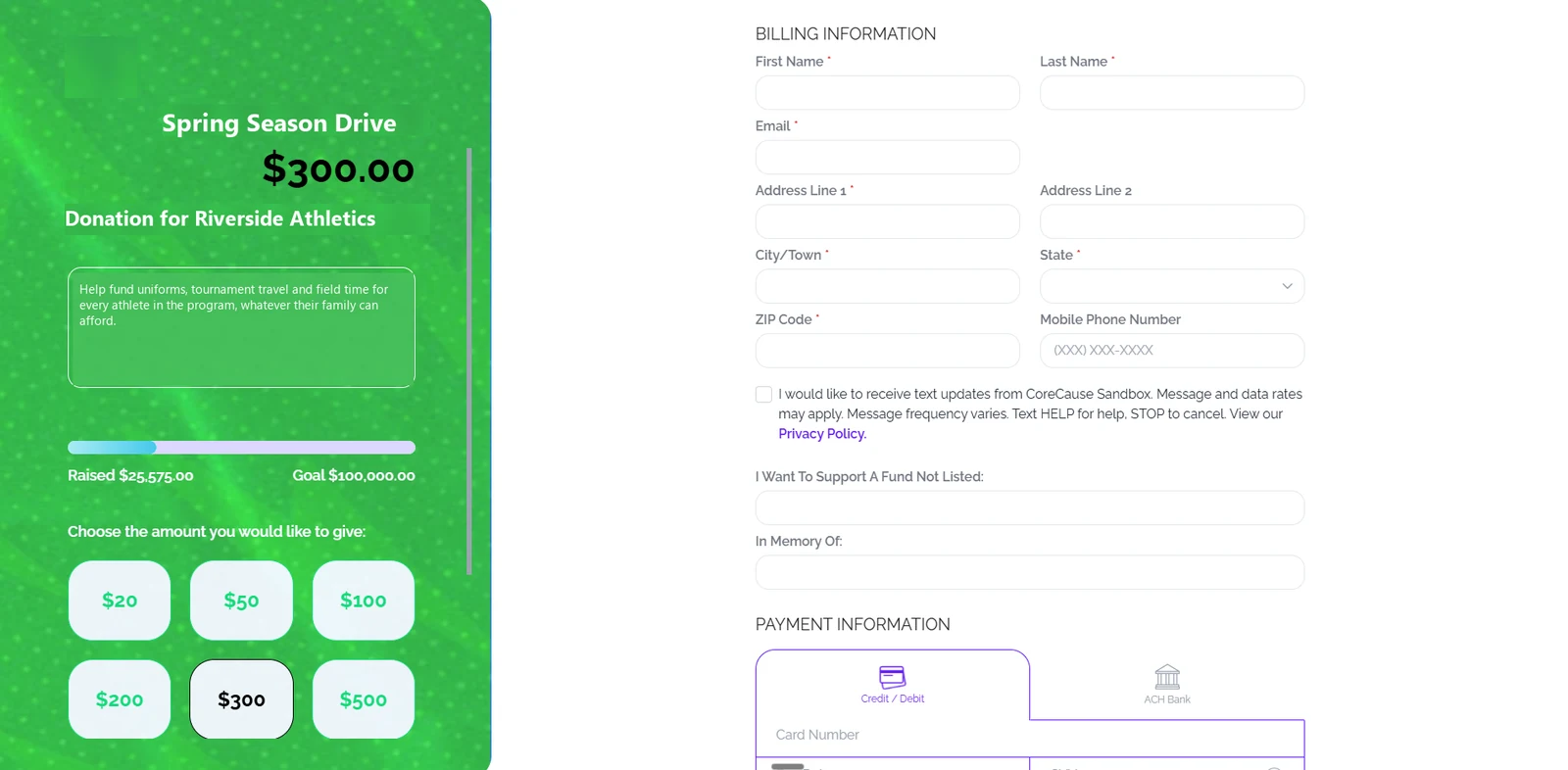 A sports team donation page in the team’s colours